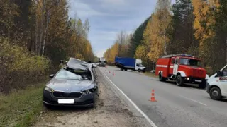 УМВД назвало причину смертельного ДТП в Касимовском районе