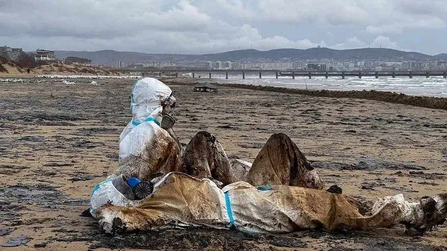 Влияние нефтяного загрязнения на Черноморские курорты: что нужно знать туристам