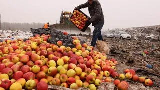 22 тонны овощей и фруктов уничтожены на полигоне под Новозыбковом