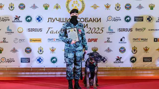 Кинолог из Владимира и ее четырехлапый воспитанник стали победителями Всероссийского конкурса