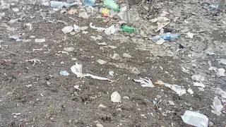 Ничего не меняется. Конечная остановка в Недостоево превратилась в общественный туалет