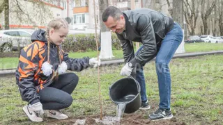 В Брянске высадили «Сад памяти» к годовщине аварии на ЧАЭС