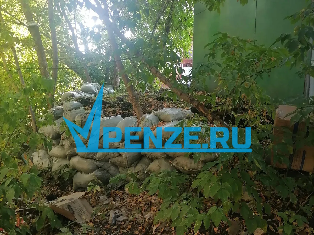 «Справляют нужду прямо под окнами»: прохожие превратили территорию сзади дома по ул. Карпинского в общественный туалет