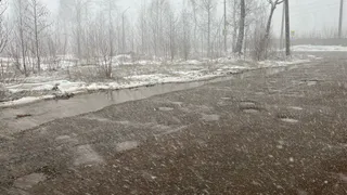 Жителей Челябинской области предупреждают о надвигающейся неблагоприятной погоде на грядущей неделе