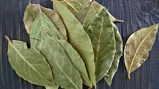 Засуньте лавровый лист в колготки и идите в туалет: муж сначала удивлялся, а потом сам стал повторять – эффект поразит