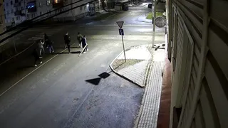 Семеро иностранцев устроили драку с досками и камнями во Владимире