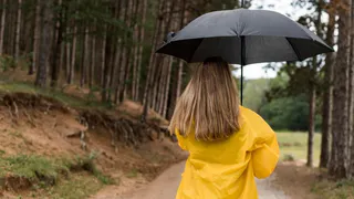 Погода будет часто и резко меняться: синоптики представили неутешительный прогноз на это лето