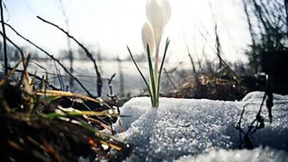 В Россию возвращается зима