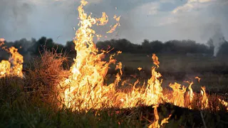 С начала марта площадь ландшафтных пожаров во Владимирской области составила 2,5 га