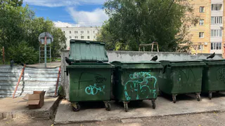 Мусор большой и малый: куда что бросать? Ликбез для жителей Коми