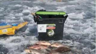 На озере в Челябинской области несколько десятков рыбаков отрезало от берега из-за таяния льда