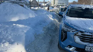 «Автобус пятился задом до перекрёстка»: родители пожаловались на состояние Телевизионной