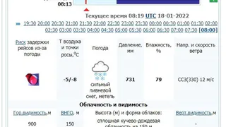 Брянский аэропорт закрыли из-за метели