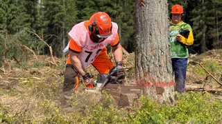 В Судогодском районе подвели итоги Кубка «ZimAni» среди вальщиков леса