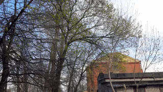 Ветер будет бушевать весь день: метеопредупреждение от МЧС