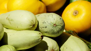 Готовьте кабачковые оладьи только по этому рецепту: с удовольствием едят даже те, кто не любит кабачки