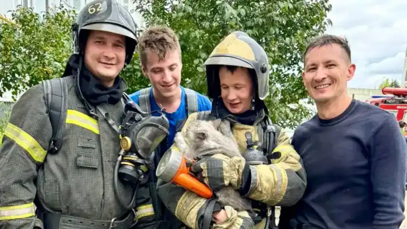 Пожарные спасли кота из горящей квартиры в Нижнекамске