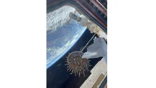 Ювелирные украшения из Владимирской области попали в космос