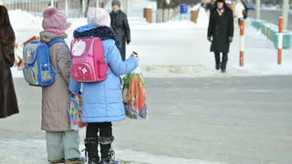 Рязанских детей хотели накормить крупой с металлом