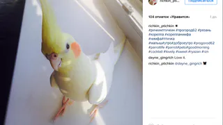 Instagram рязанцев: ночные огни, осенние мотивы и Ричкин Птичкин