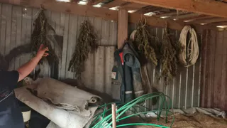 В Скопинском районе мужчина хранил дома более трех килограммов наркотиков