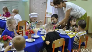 В Рязанской области проверка детского сада привела к трём уголовным делам