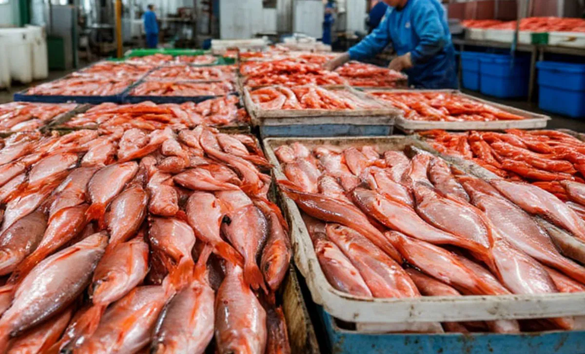 Знакомая поехала на вахту - работала на рыбзаводе Камчатки. Вот сколько реально "поднять" за 2 месяца