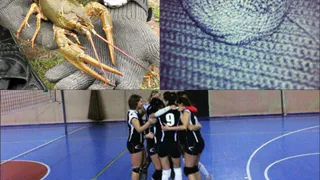 Рязанское утро в Инстраграм: рак, спортсменки - красавицы и ночь в пятницу тринадцатое