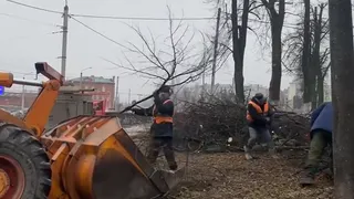Во Владимире очищают улицы от опасных деревьев и разросшихся веток
