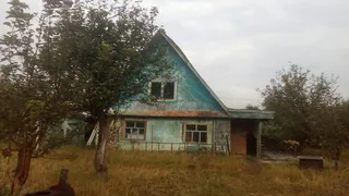 Финалистка «Битвы экстрасенсов» Диля Абдрашитова купила дачу в Нижнекамске