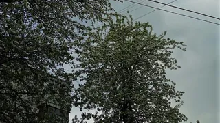 Рязанские спасатели опубликовали штормовое предупреждение