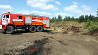 Под Рязанью тяжелая военная техника безуспешно пытается справиться с куриным пометом