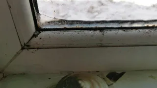 «Не стыдно такое фото выкладывать?». Нижнекамец жалуется, что окна изнутри покрылись льдом