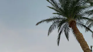 Турция уже прошлый век - коллега рассказала про новый курорт: летим всей семьей в июне