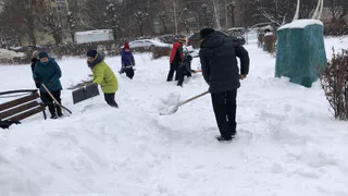 Народный субботник: в поддержку предложения мэрии вышли активисты