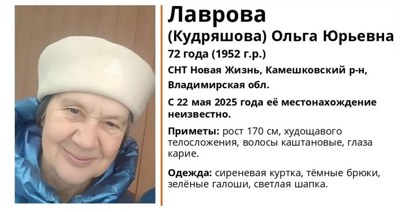 В регионе разыскивают пропавшую 72-летнюю пенсионерку из Камешковского района