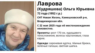 В регионе разыскивают пропавшую 72-летнюю пенсионерку из Камешковского района