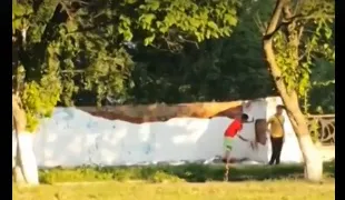 С забора у владимирской ОДКБ дети отбили побелку