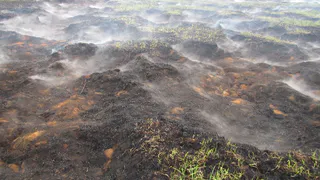 В Рязанской области лесной пожар перекинулся на торфяники из-за перехода огня
