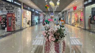 В брянском «АэроПарке» закрыли семь отделов