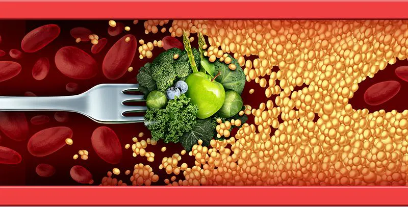 Назван лучшие овощи против «плохого» холестерина