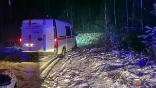 Под Камешковом спасатели вынесли из леса заблудившегося рыбака