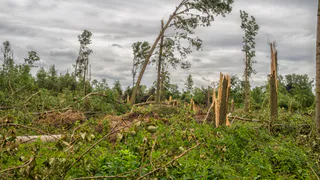 Не покидайте свои квартиры: в майские праздники на россиян обрушится настоящее климатическое бедствие
