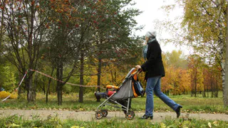 В Рязани 7 октября прогнозируют до +16 градусов и утренний туман