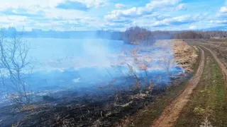 В Чувашии продолжают борьбу с ландшафтными пожарами