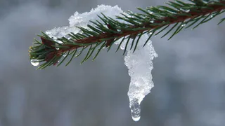 Погода недели: декабрь продолжает дарить тепло