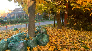 В Пензе подходит к концу осенний месячник по благоустройству