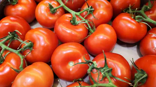 Ковш под куст после высадки — и томаты «штампуют» помидоры безостановочно: не кусты, а стахановцы