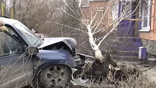 В Рязани водитель «Suzuki» снес трехметровое дерево