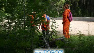 "Лиза Алерт" опубликовала результаты масштабных поисков пропавших людей в сентябре в Челябинской области